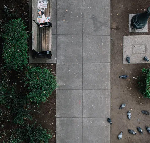 This is a photo of a cement sidewalk in a park taken from above. There is a park bench and some pigeons on the ground.