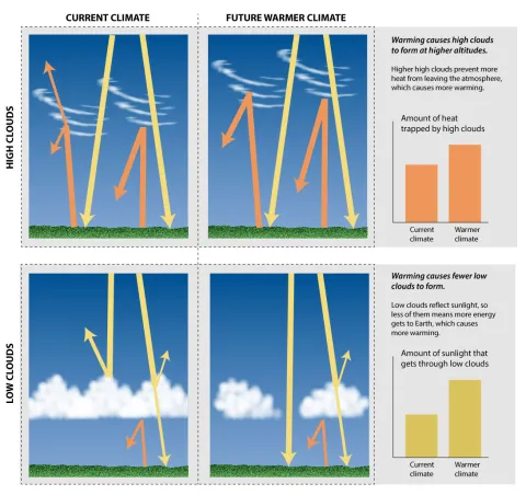 Graphic showing how different types of clouds affect solar and infrared radiation