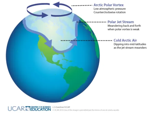Diagram of air movement in a polar vortex. Arctic Polar Vortex: low atmospheric pressure, counterclockwise rotation; Polar Jet Stream: Meandering back and forth when polar vortex is weak; Cold Arctic Air: dipping into mid-latitudes as the jet stream meanders.